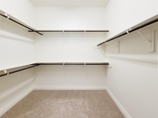 walk in closet featuring carpet floors