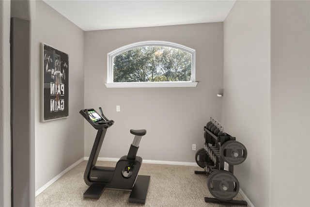 exercise room with carpet and baseboards