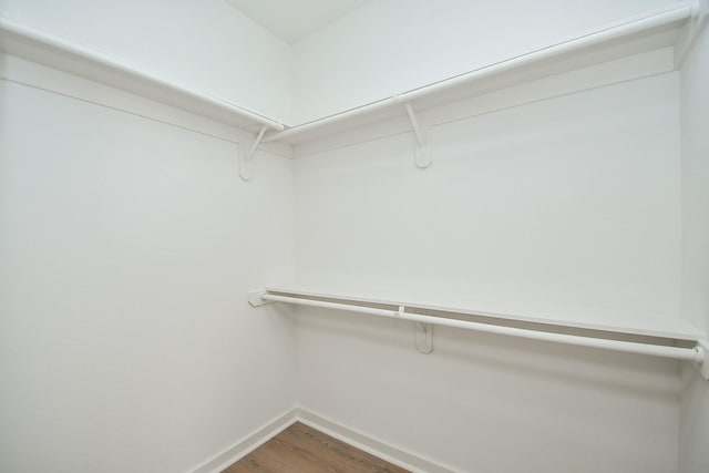 spacious closet with light wood-type flooring