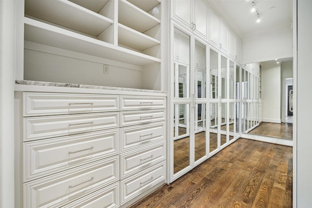 interior space featuring rail lighting and dark wood-style floors