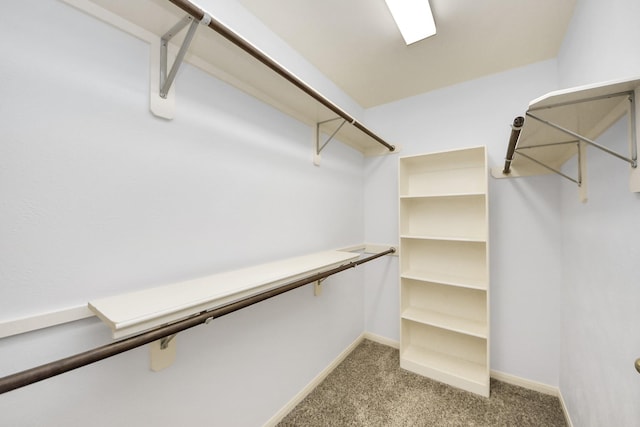 walk in closet featuring carpet floors