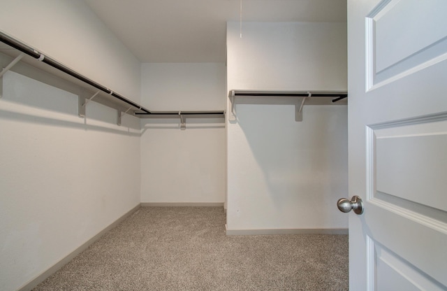 walk in closet with carpet flooring