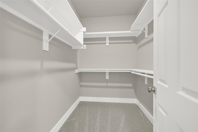 spacious closet with carpet floors