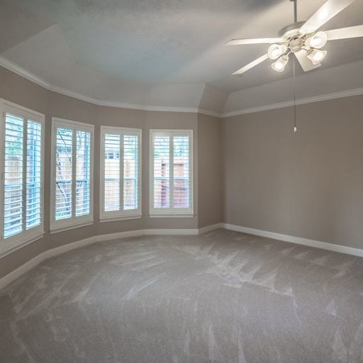 spare room featuring baseboards, carpet flooring, and crown molding