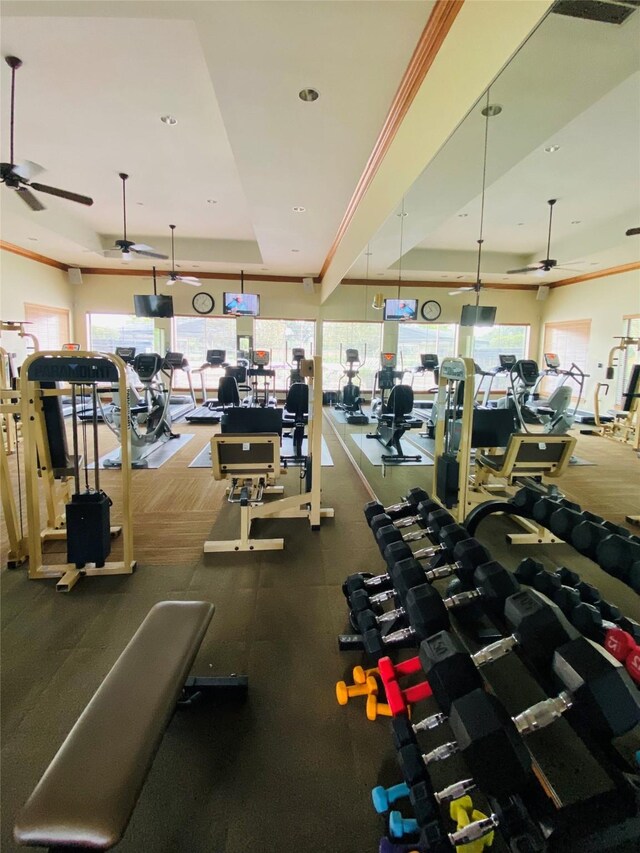 gym with a raised ceiling, crown molding, and ceiling fan