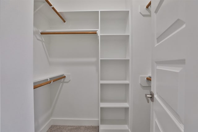 spacious closet with carpet