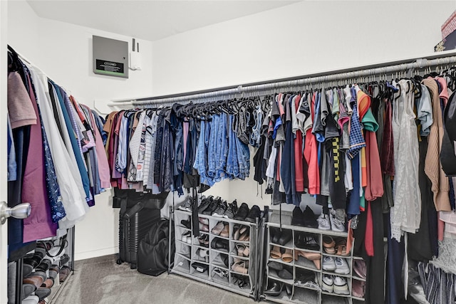 spacious closet featuring carpet