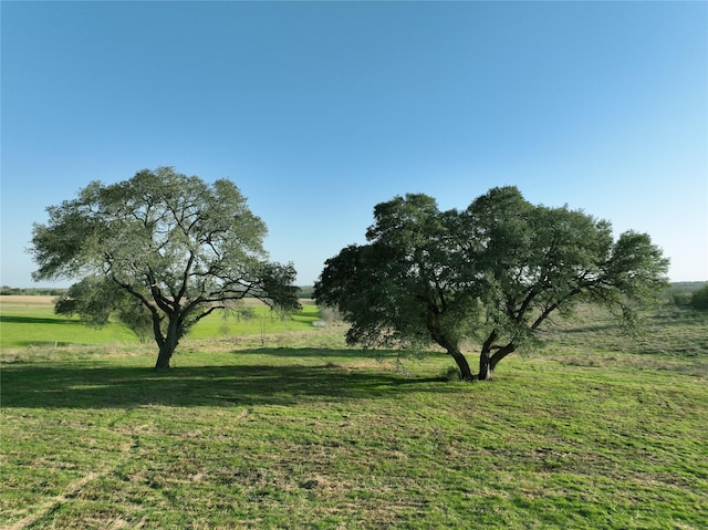 00 Boehnemann, Brenham, TX 77833 - photo 2