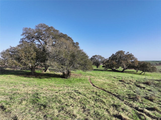 00 Boehnemann, Brenham, TX 77833 - photo 6