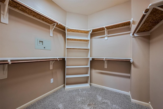 spacious closet featuring carpet floors