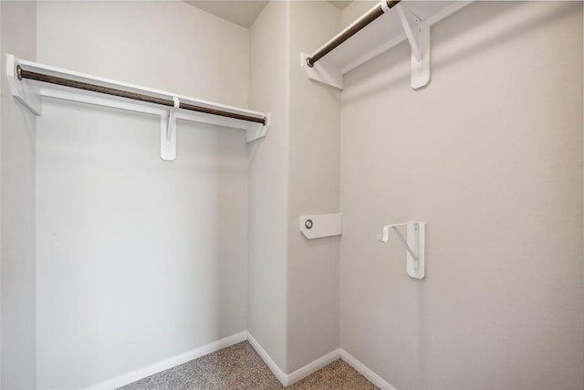 spacious closet featuring carpet floors