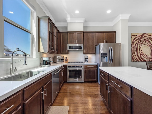 kitchen with dark wood-type flooring, a sink, backsplash, dark brown cabinetry, and appliances with stainless steel finishes