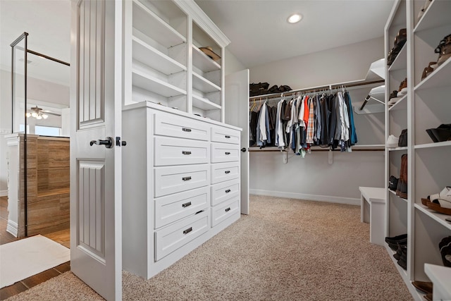 walk in closet with a ceiling fan and carpet