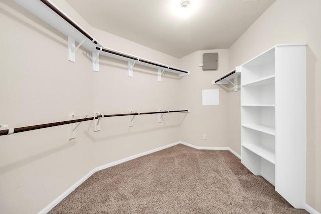 spacious closet featuring carpet floors