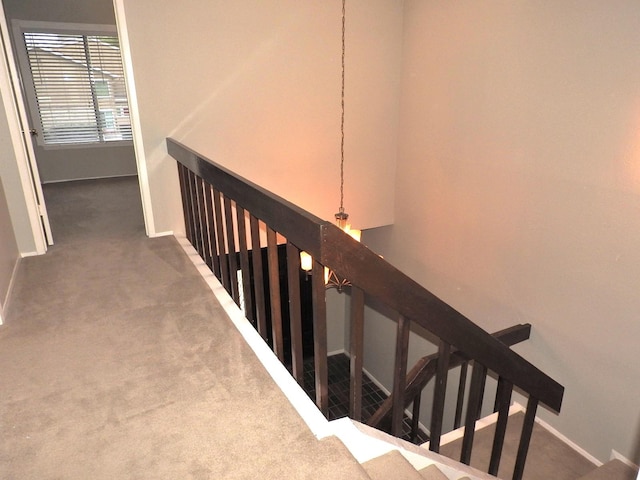 stairs with baseboards and carpet