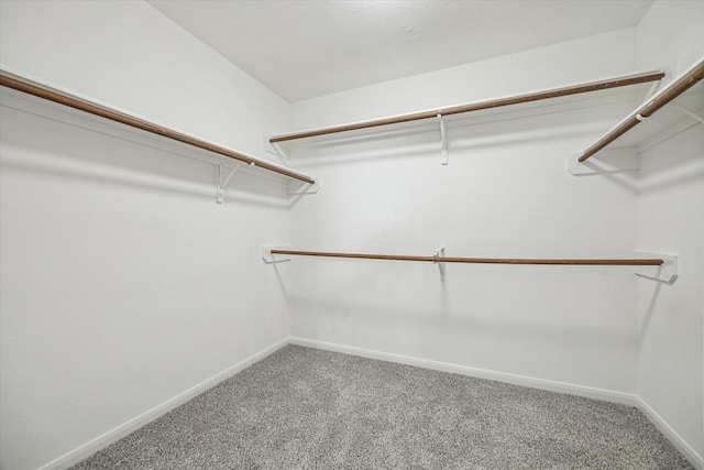 walk in closet with carpet floors