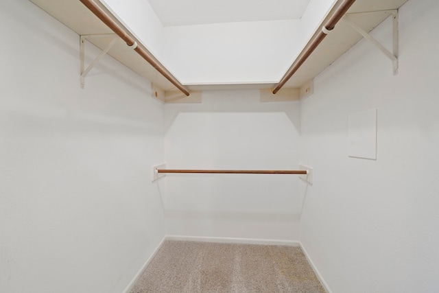 walk in closet featuring carpet flooring