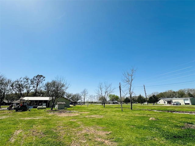 view of yard featuring a detached garage and driveway