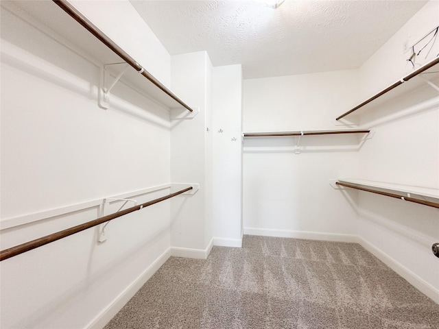 spacious closet featuring light carpet