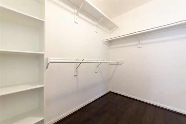 spacious closet with dark wood finished floors