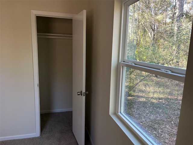 view of closet