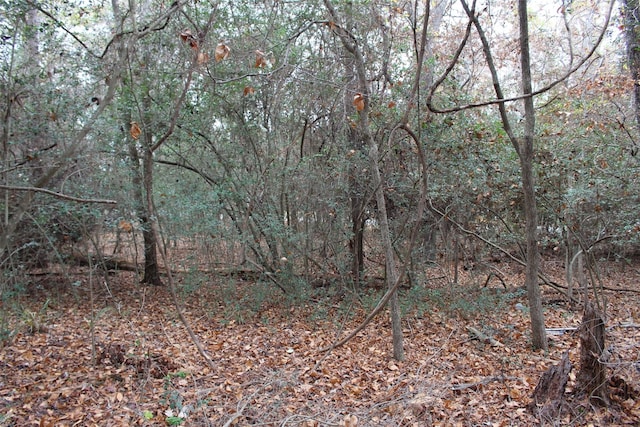 225 Dailey Rd, Crockett, TX 75835
