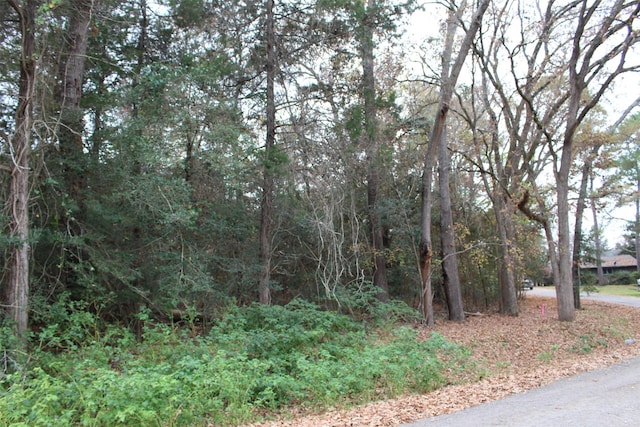 225 Dailey Rd, Crockett, TX 75835