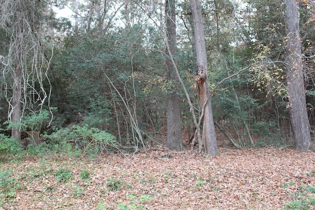 225 Dailey Rd, Crockett, TX 75835