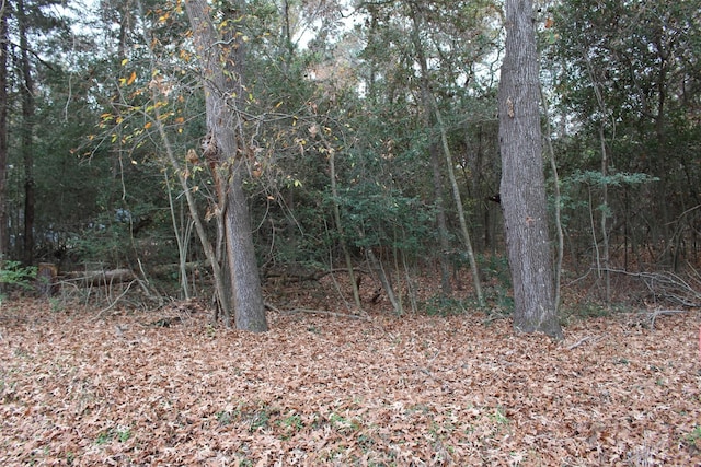 225 Dailey Rd, Crockett, TX 75835