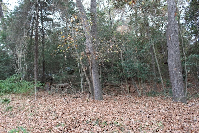 225 Dailey Rd, Crockett, TX 75835