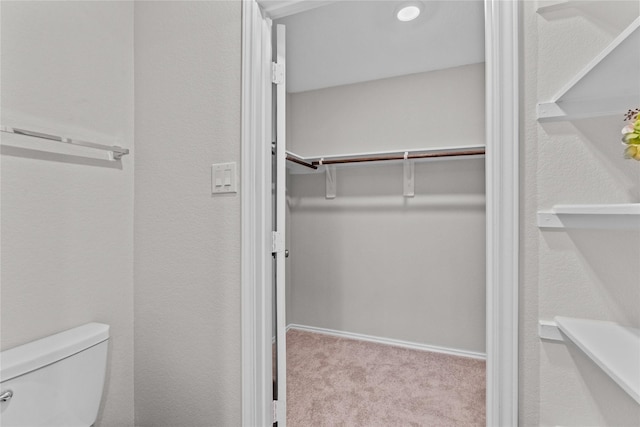 spacious closet featuring carpet