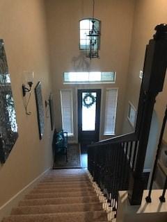 entrance foyer with a high ceiling, baseboards, and plenty of natural light