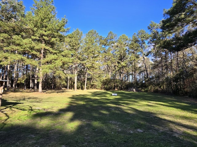 view of yard featuring a forest view