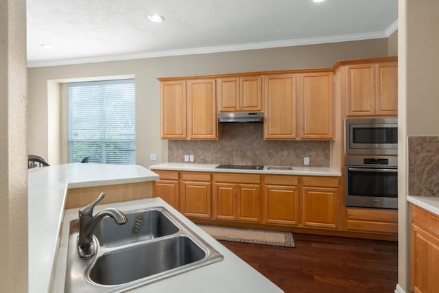 kitchen with under cabinet range hood, decorative backsplash, appliances with stainless steel finishes, dark wood-style floors, and a sink