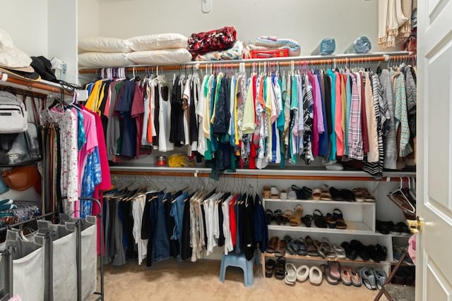 spacious closet with carpet floors