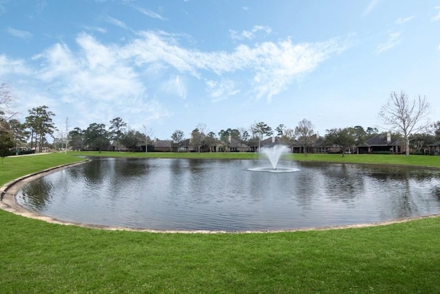 view of water feature