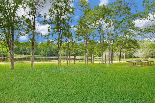 view of yard featuring a water view