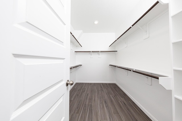 spacious closet featuring dark wood-style floors