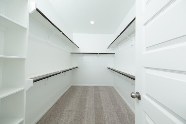 spacious closet featuring light carpet