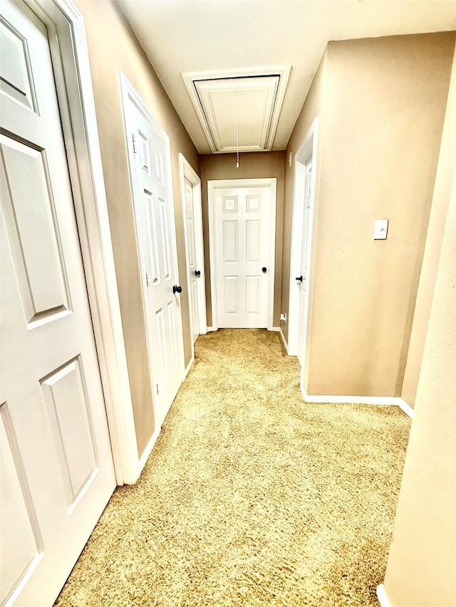 corridor featuring attic access, baseboards, and light carpet
