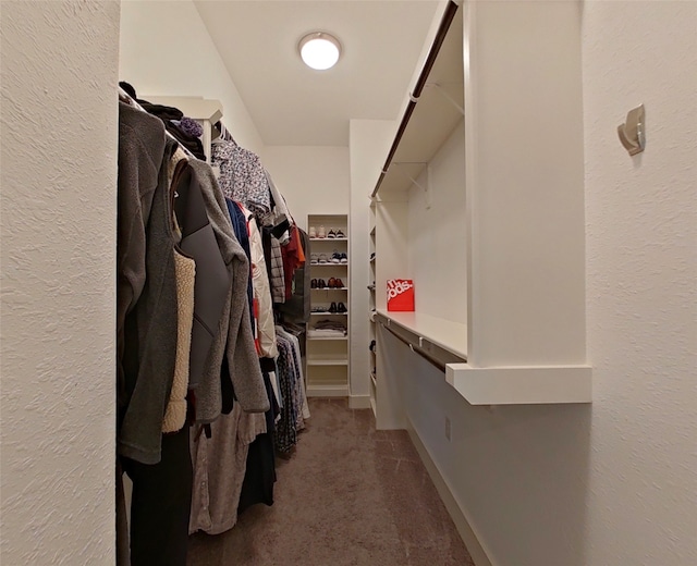 walk in closet featuring carpet flooring