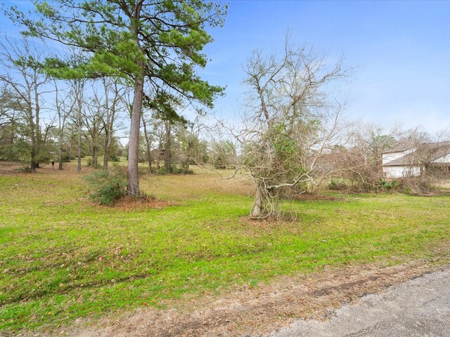 151 Wildwood Lake Dr, Huntsville, TX 77340