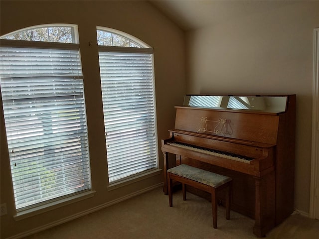 sitting room featuring carpet flooring and lofted ceiling