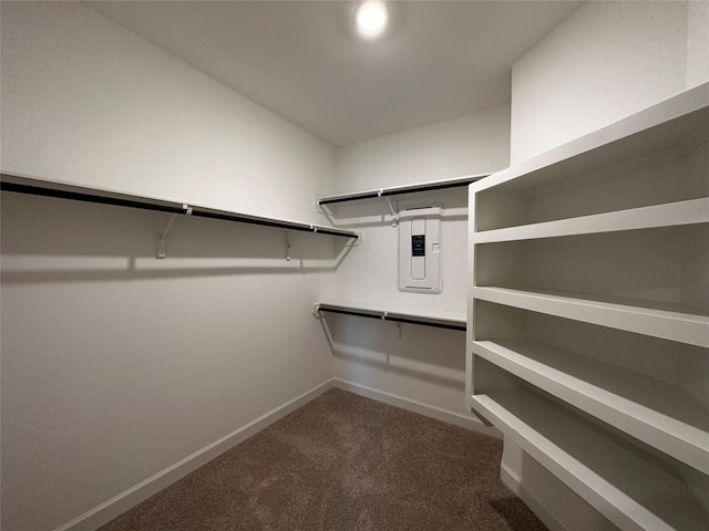 walk in closet featuring dark colored carpet and electric panel