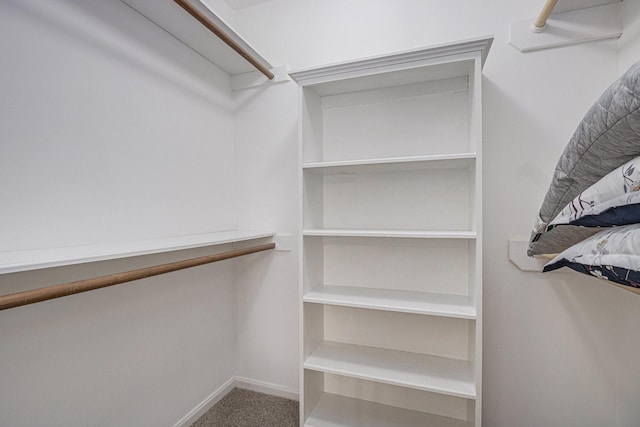 walk in closet featuring carpet