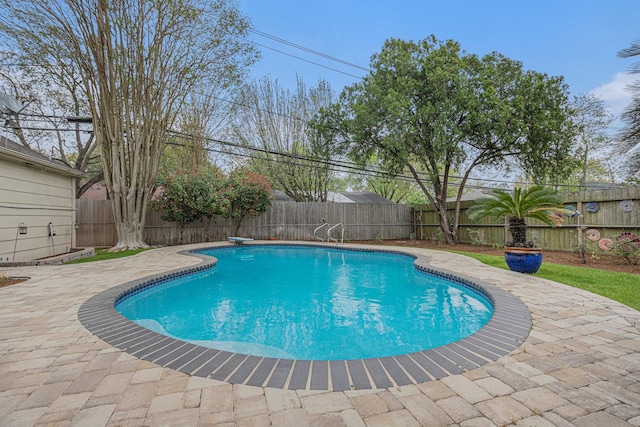 view of pool featuring a fenced backyard, a fenced in pool, and a patio