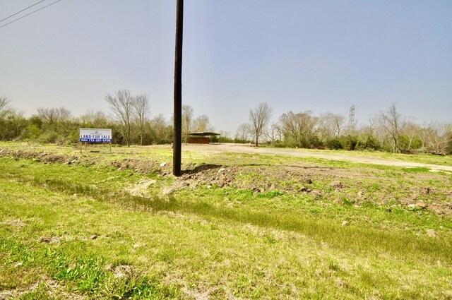 3208 Chene Rue, Rosharon, TX 77583 - photo 13