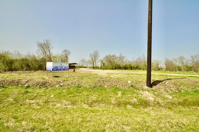 3208 Chene Rue, Rosharon, TX 77583 - photo 14