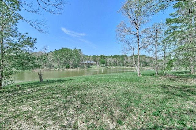 14711 Turquoise Trl, Willis, TX 77378 - photo 45