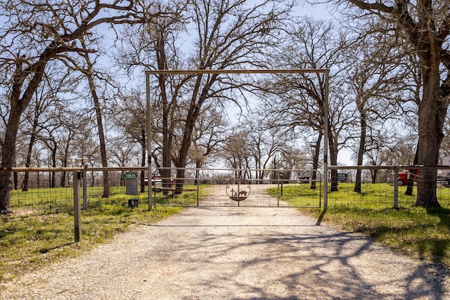 view of road with a gated entry, driveway, and a gate